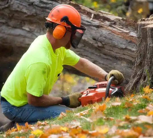 tree services Birmingham